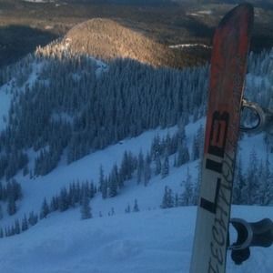 Meet your Posher, Gary